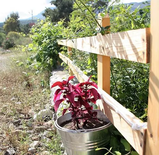 Bed & Breakfast Poseidon Olympos