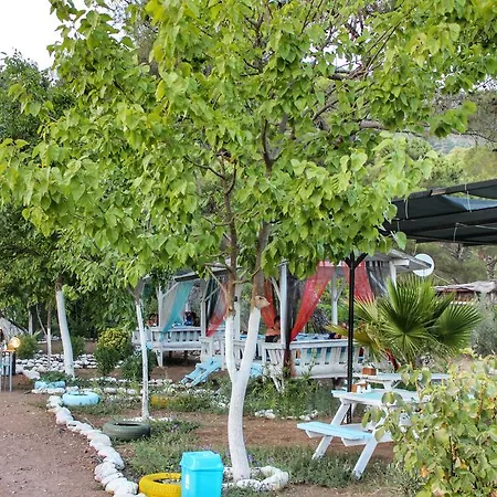 Poseidon 奥林巴斯