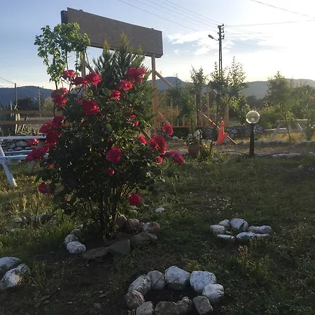 فندق مبيت وإفطار Poseidon أوليمبوس