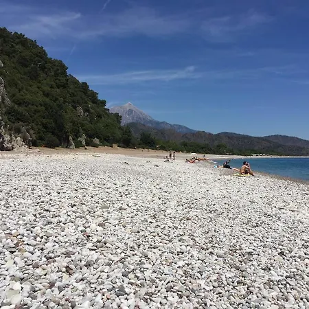 住宿加早餐酒店 Poseidon *