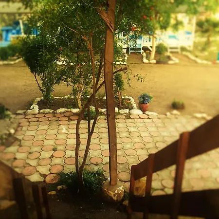 Poseidon 奥林巴斯