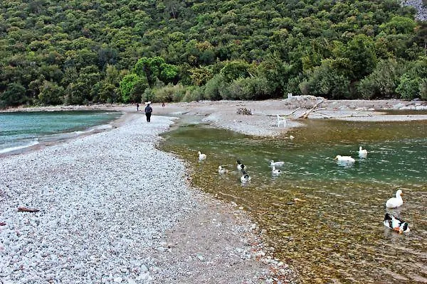 Poseidon أوليمبوس