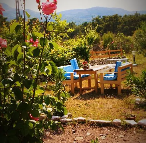 Poseidon أوليمبوس