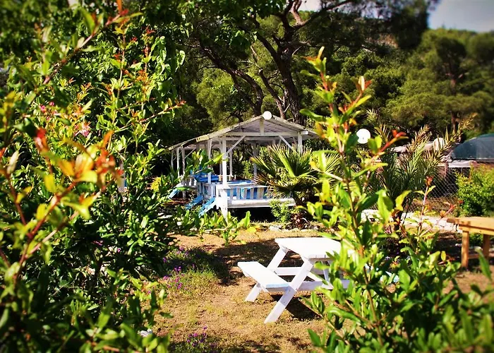 Poseidon أوليمبوس