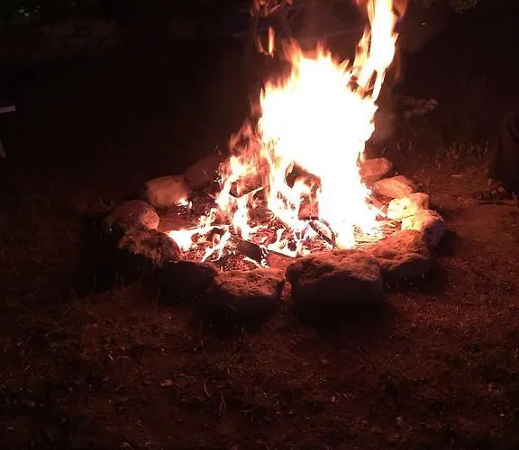 Poseidon أوليمبوس