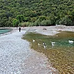 Poseidon Όλυμπος