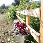 Bed and Breakfast Poseidon Όλυμπος