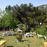 Bed and Breakfast Poseidon Όλυμπος